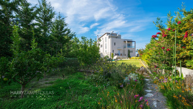 Exterior-Backyard-1920x1280-380x214 Portfolio – Photography for Real estate 