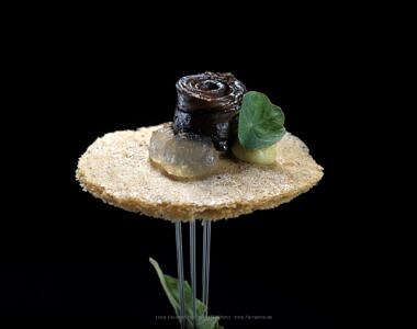 Plate-8a-scaled-380x300 Maik Papafilis - Day 3 - Local Gourmet Festival 2019 - Food Photography by Harry Zampetoulas 
