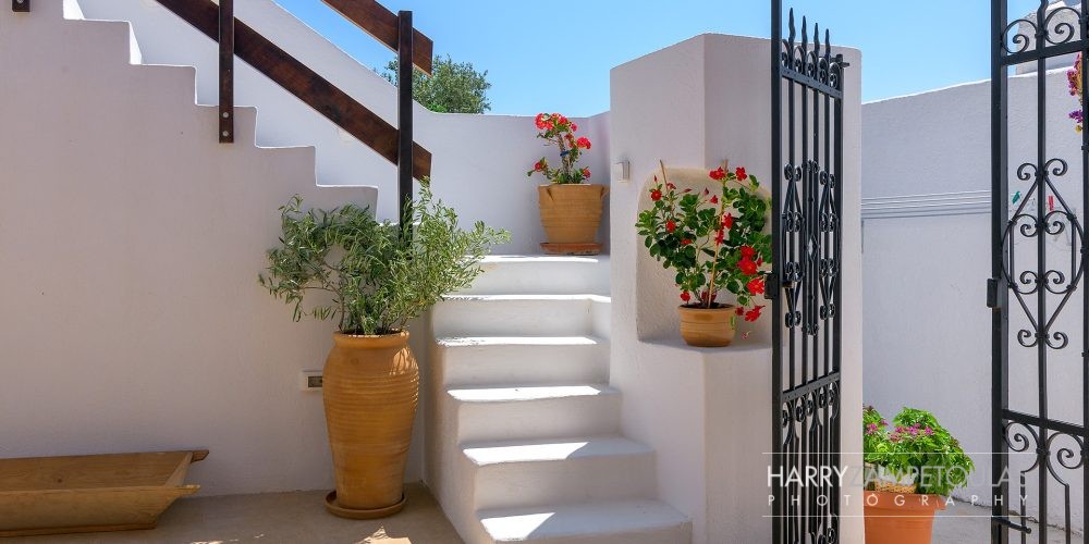 Whitehouse 1871, Λαχανιά